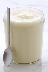 plain french style yogurt