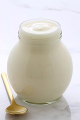 plain french style yogurt