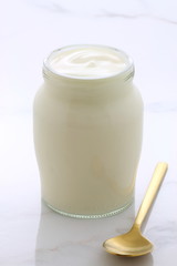 plain french style yogurt