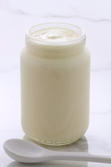 Obraz na płótnie Canvas plain french style yogurt