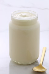 plain french style yogurt