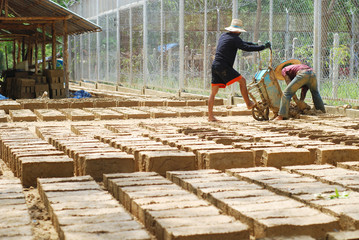 Two men making a lot of soil bricks