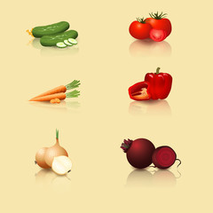 vegetables: tomatoes, carrots, peppers, cucumber, onion