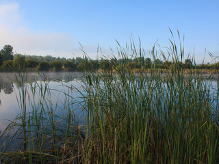 Foggy landscape with a lake.