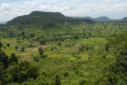 Paysage campagne cambodgienne