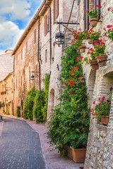 Fototapeta na wymiar Vicolo con fiori, Assisi