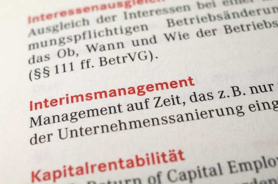 Interimsmanagement, interim-management