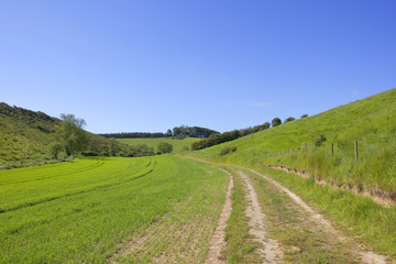 rural farm track