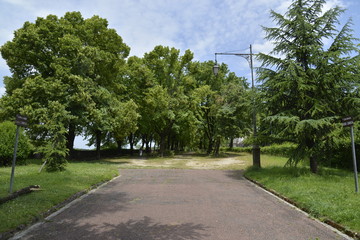 La parc François 1er à Cognac