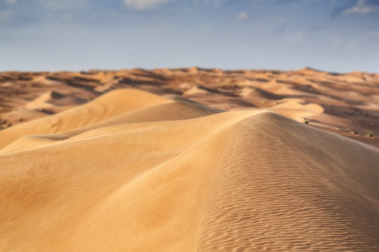 Desert Wahiba Oman © Wolfgang Zwanzger