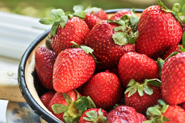 Ripe berries, strawberry