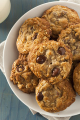 Homemade Chocolate Chip Cookies