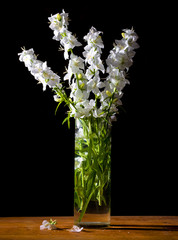 beautiful white flowers in vase