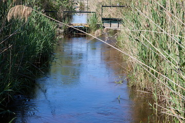 Naklejka premium Mallorca Naturschutzpark Albufera