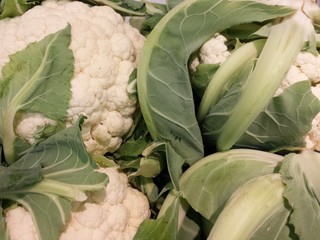 Blumenkohl