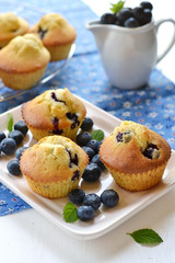 Blueberry muffins on a white plate