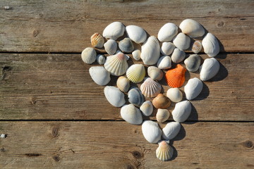Sommer Grußkarte - Muschelherz auf Holzuntergrund