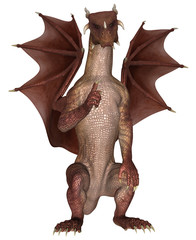 Obraz premium Fantasy Dragon