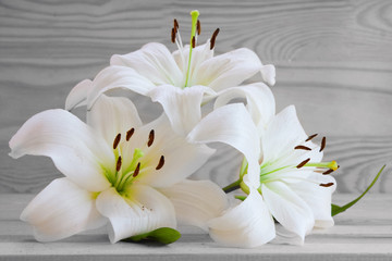 White lily isolated . 