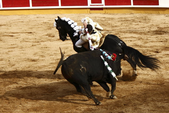 Torada, Tourada, Corrida