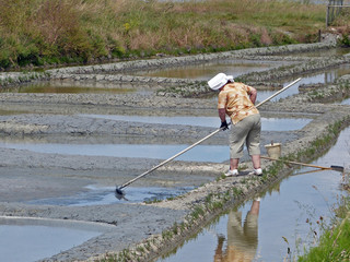 saunier marais salant