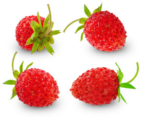 ripe wild strawberry