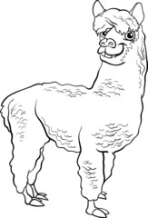 alpaca animal cartoon coloring book