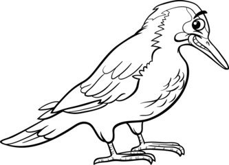 yaffle bird animal coloring page