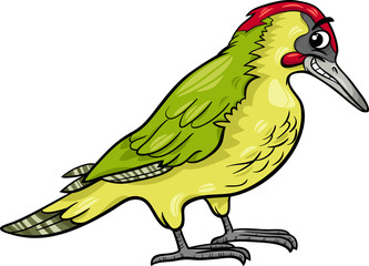 yaffle bird animal cartoon illustration