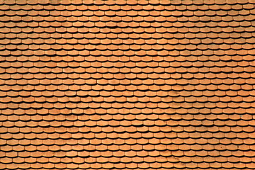 Roof shingle