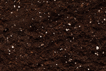 Soil on the white