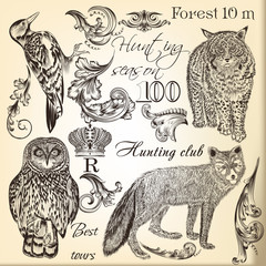 Fototapeta premium Set of vector hand drawn animals