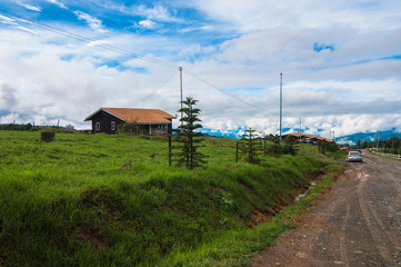 Single house at dairy farms