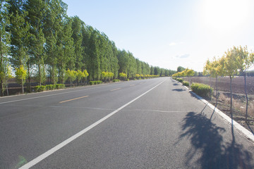 Fototapeta premium Road