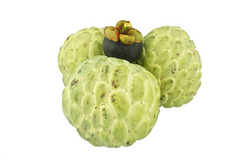 Custard apple and mangosteen isolated
