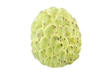 Custard apple sweet fruit as oval isolated