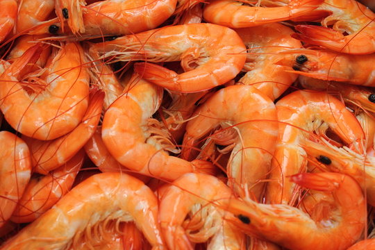 boiled Shrimp