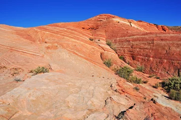 Fotobehang Red Rock Landscape, Southwest USA © nyker