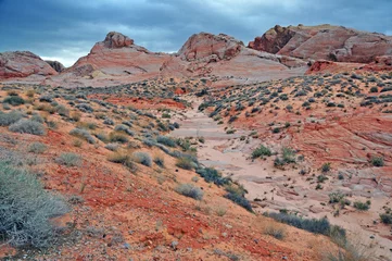 Zelfklevend Fotobehang Red Rock Landscape, Southwest USA © nyker