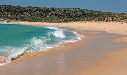 Surf on Pristine Beach, Sydney, Australia