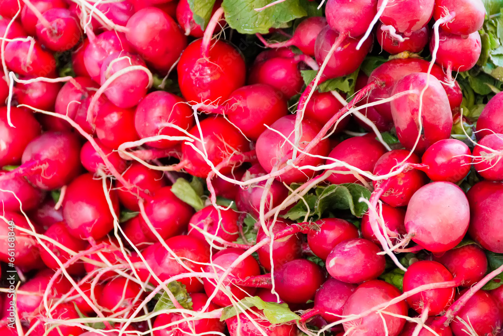 Wall mural fresh radish