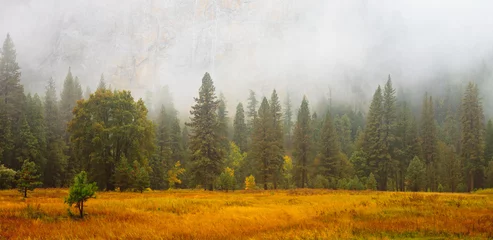 Foto op Canvas Yosemite Valley Scene with Fog © nstanev