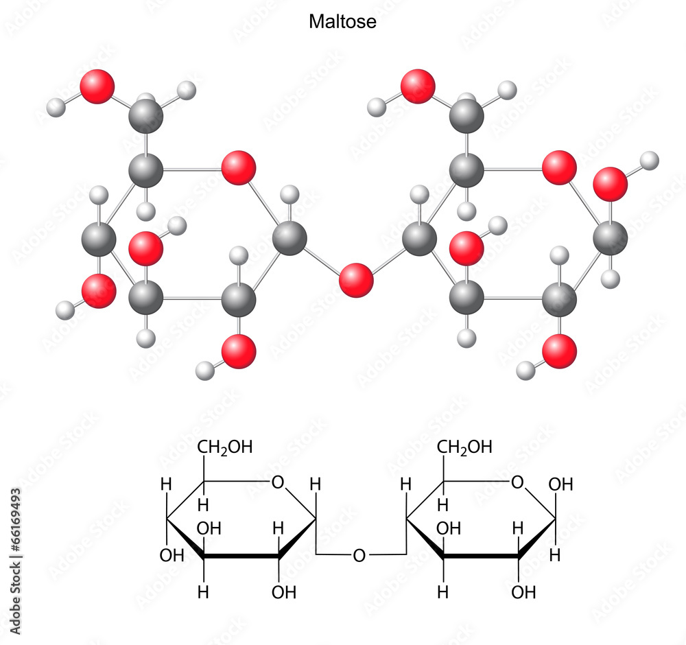 Canvas Prints Structural chemical formula and model of maltose