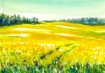 Acrylic prints Yellow Rapeseed field.Watercolors
