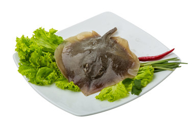 Raw Batoidea