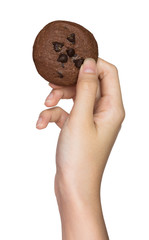 Hand holding cookie
