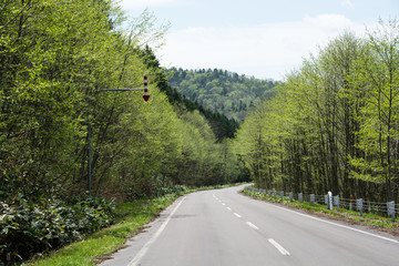 初夏の山間の道