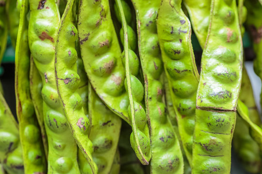 Stink Bean,Parkia Speciosa  twisted cluster beans