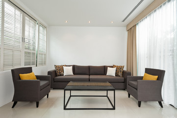 Fototapeta na wymiar Bright Living room with grey sofa