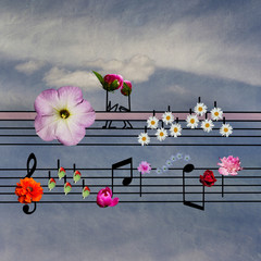 notes decorated with flowers on sky background